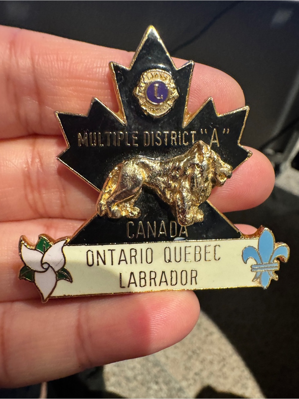 Canada Labrador Multiple District 'A' Maple Leaf Pin - Black & Gold - Picture 6 of 9
